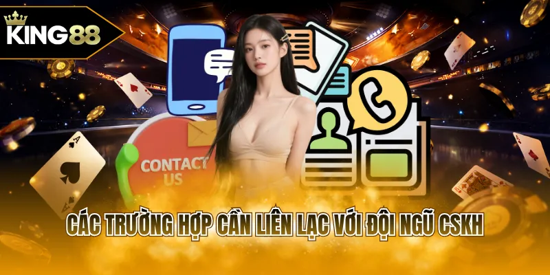 Các trường hợp cần liên lạc với đội ngũ CSKH 