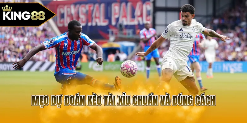 Mẹo dự đoán kèo tài xỉu chuẩn và đúng cách